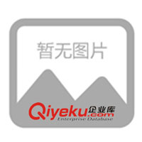 供應(yīng)CE認(rèn)證歐規(guī)RCD漏電保護(hù)插頭